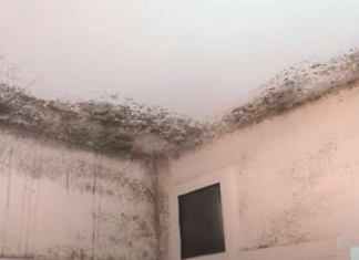 KUĆNA VLAGA JE OPASNA PO ZDRAVLJE! Evo kako da se rešite ove napasti, kao da nikada nije bilo!