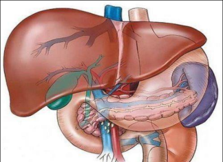 OVO JE NAMIRNICA KOJA OBNAVLJA ŠTITNU ŽLIJEZDU, ŽUČ I JETRU