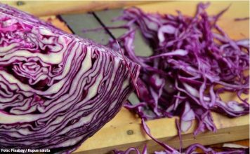 DA LI U KUPUS SALATU PRVO STAVLJATE ULJE ILI SIRĆE? REDOSLIJED JE VAŽNIJI NEGO ŠTO MISLITE, EVO ZAŠTO!