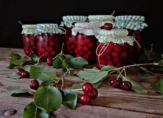 Najbolja metoda za kompot od višanja!!