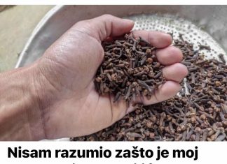 Zašto je otac stavio karanfilić u usta? Otkrijte prirodne načine za ublažavanje zubobolje!