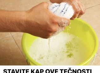 Stavite KAP OVOG SREDSTVA u vodu i PRAŠINA nestaje do 10 dana – Muzejski trik koji menja pravila igre!