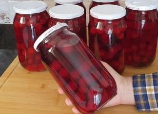 Najbolja metoda za kompot od višanja