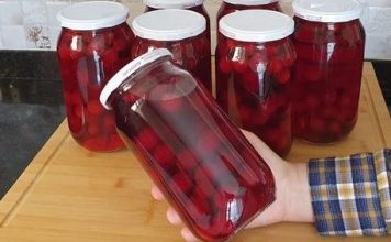 Najbolja metoda za kompot od višanja