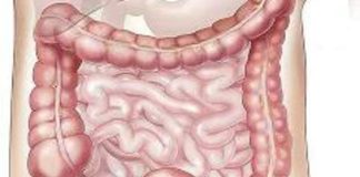 Nutricionistkinja otkrila koji napitak je najbolji za creva: Lako se pravi, a pomaže kod nadutosti i varenja