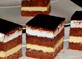 Kako ranije nisam znala za ovaj recept! Podravske kocke uvijek su hit – stari klasik naših baka