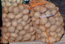 Deda je uvijek u kesu sa krompirom ubacivao ovo i izdržali su do sledeceg ljeta! NI JEDAN NE PROKLIJA! (trik) (FOTO)