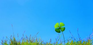 Sreća kuca na vrata: Ova 2 znaka očekuje nevjerovatni dobitak!