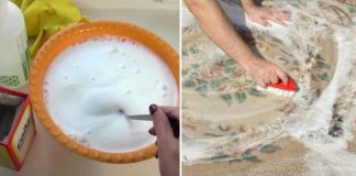 Evo jednog fantastičnog kućnog trika za čišćenje tepiha koji će vas oduševiti!