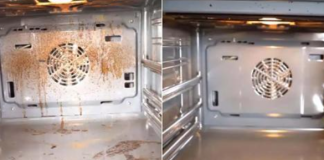 Odličan način da brzo, jednostavno i bez hemikalija očistite RERNU: NIKADA je više nećete ribati!