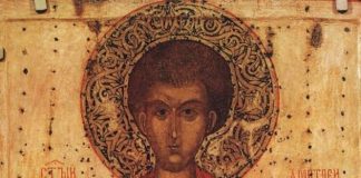 U petak je Mitrovdan, a ovu biljku obavezno morate da unesete u kuću: Crveno je slovo, strogo je zabranjeno…