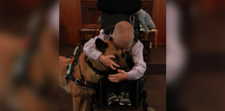 UDOMILI SMO PSA DA POMOGNE NAŠEM BOLESNOM DETETU: Odjednom je počela NEKONTROLISANO DA CVILI, a onda se desilo nešto NEVEROVATNO