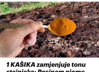 1 KAŠIKA zamjenjuje tonu stajnjaka: Posipam njome cijelu baštu, onda samo imam vremena da uberem toliko!