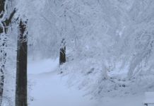 Spremite se za najhladniju zimu u posljednjih 65 godina: Evo kad stiže prvi snažan udar