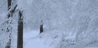 Spremite se za najhladniju zimu u posljednjih 65 godina: Evo kad stiže prvi snažan udar