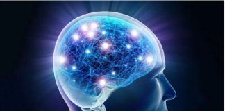 NEUROLOG: Mozak ne voli masnoće, duvan i alkohol. Ali on voli OVO i svi bi trebali znati za to!