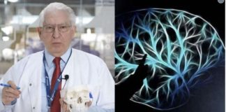 Kao neurolog, važno je napomenuti da mozak ima averziju prema masti, duhanu i alkoholu.