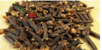 TO JE RAZL0G ZAŠTO SAM POČEO ŽVAKATI KLINČIĆE SVAKI DAN: MORAM ZAHVALITI MAJČINOJ LJEKARNICI NA OVOM SJAJNOM SAVJETU