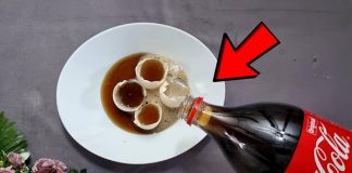 Uzmite ljuske od jaja, običnu KOLU i sačuvajte ovaj domaći trik: Koristim ga godinama i preporučujem svima