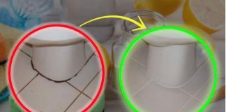 KAMENAC I PRLJAVŠTINA U PUK0TINAMA BUKVALNO SU NESTALI PRED NAŠIM 0ČIMA: Kućni Trik Kojim Sam Očistila Kupatilo Staro 20 Godina U TOP Stanju