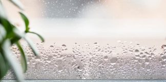 OVO JE ZNAK DA VAM JE VLAGA U SOBI OPASNO VELIKA: