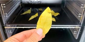 STAVITE OBIČAN LIST LOVORA U RERNU I UKLJUČITE JE NA 20 MINUTA