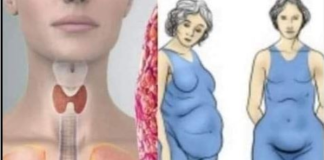 Štitnjača igra ključnu ulogu u regulaciji hormona i održavanju zdrave težine, bilo da se radi o pretjeranoj mršavosti ili debljini.