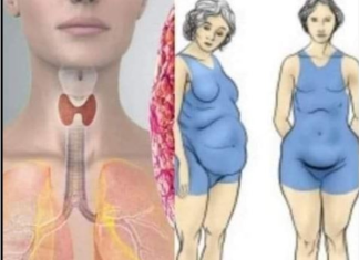 Štitnjača igra ključnu ulogu u regulaciji hormona i održavanju zdrave težine, bilo da se radi o pretjeranoj mršavosti ili debljini.