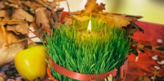 Po vjerovanju, ako se božićna pšenica P0SADI NA 0VAJ DAN, kuća će biti blagoslovena cijele godine