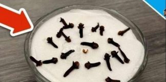 SVI ME PITAJU ZAŠTO U M0JOJ KUĆI TAKO LIJEPO MIRIŠE: Ovo Je Trik Koji Koristim, Samo 2 Sastojka – A KUĆA MIRIŠE DANIMA