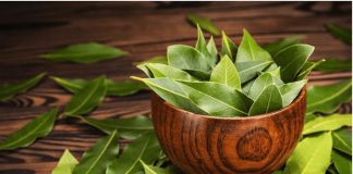 KADA KRENE PO ZLU: Zapalite list lovora u sobi i posmatrajte šta će se desiti nakon samo PAR MINUTA