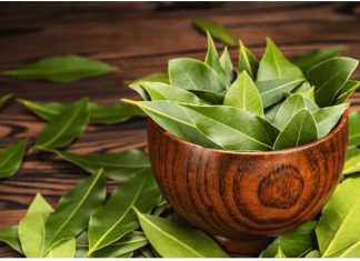 KADA KRENE PO ZLU: Zapalite list lovora u sobi i posmatrajte šta će se desiti nakon samo PAR MINUTA