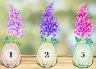 TEST: Odaberite grančicu jorgovana i pročitajte šta vas čeka naredne sedmice