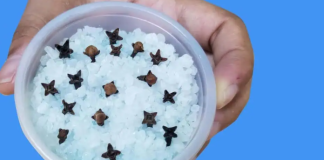 Kupatilo moje svekrve uvek lepo miriše, samo otvori vrata: OVO JE NJENA TAJNA!