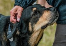 U prisustvu loše osobe svaki pas uradi jednu stvar: Zapamtite dobro ovu reakciju(FOTO)