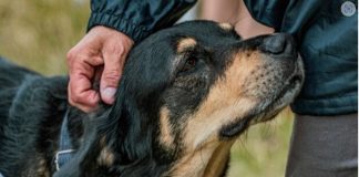 U prisustvu loše osobe svaki pas uradi jednu stvar: Zapamtite dobro ovu reakciju(FOTO)