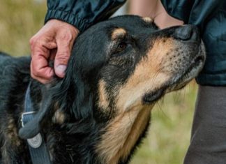 U prisustvu loše osobe svaki pas uradi jednu stvar: Zapamtite dobro ovu reakciju(FOTO)