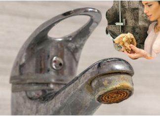 Trik za ČIŠĆENJE KAMENCA se širi kao zaraza: Srpska influenserka otkrila caku – ne treba vam NI VODA, samo 1 stvar koju SVI imamo