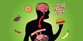 KAKO SMRŠATI POSLIJE 50. GODINE? Uz 3 ključna pravila uvijek ćemo biti VITKE, a evo koje NAMIRNICE treba IZBJEGAVATI