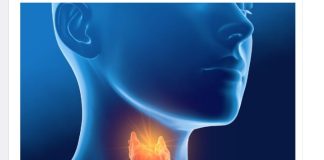 Sve dolazi od vaše štitne žlijezde – hormona, suviše mršavosti ili gojaznosti: evo kako da to izliječite sami