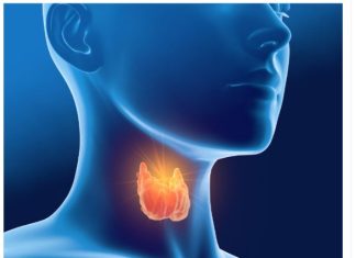 Sve dolazi od vaše štitne žlijezde – hormona, suviše mršavosti ili gojaznosti: evo kako da to izliječite sami