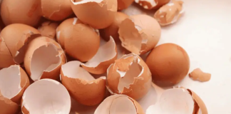 NIKADA IH NE BACAJTE: Ljuske od jaja su vrjednije nego što mislite. Malo ljudi to shvaća!