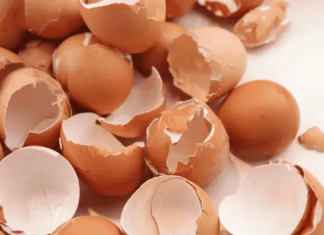 NIKADA IH NE BACAJTE: Ljuske od jaja su vrjednije nego što mislite. Malo ljudi to shvaća!