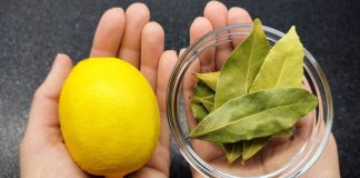 Uzmite limun i zabodite lovorov list: Neko bi trebao dobiti medalju za ovu ideju!