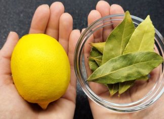 Uzmite limun i zabodite lovorov list: Neko bi trebao dobiti medalju za ovu ideju!