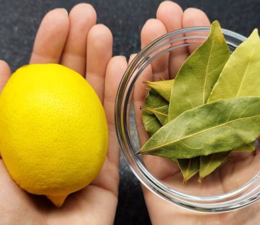 Uzmite limun i zabodite lovorov list: Neko bi trebao dobiti medalju za ovu ideju!