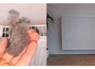 EVO KAKO DA OČISTITE RADIJATORE ZA MINUTU: Bolju foru niste vidjeli, kako se niko ranije nije sjetio ovoga?!