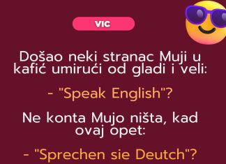 VIC: Mujo i strani jezici