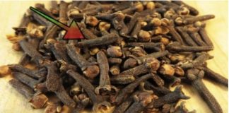 TO JE RAZLOG zašto sam počeo žvakati klinčiće svaki dan: Moram zahvaliti majčinoj ljekarnici na ovom sjajnom SAVJETU