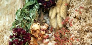 OVE TRI STVARI ODMAH IZBACITE IZ KUĆE: Prema feng šuiju privlače nesreću i negativnu energiju!